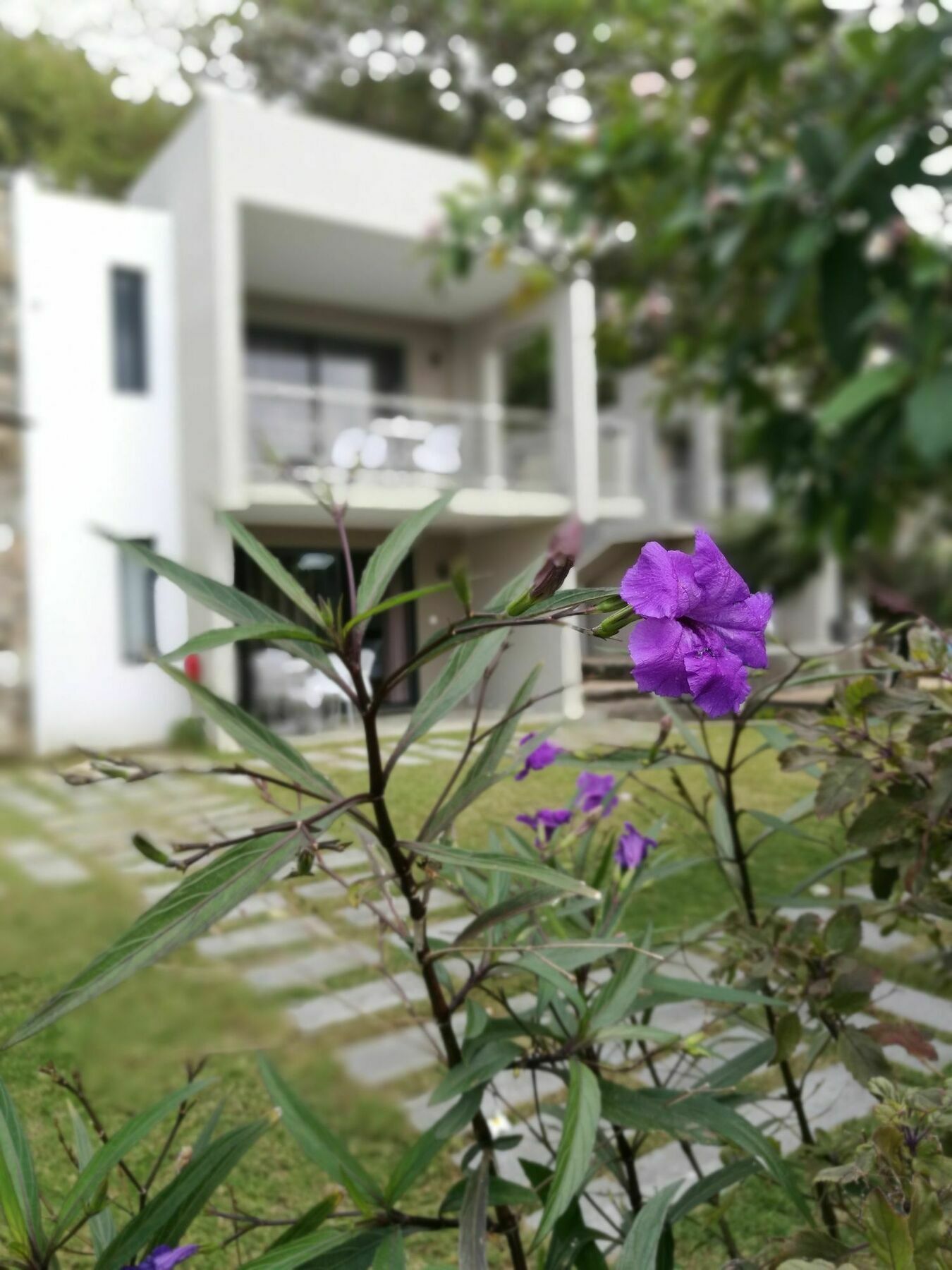 Valmarin Seafront Apartments Тру-д'-О-Дус Екстер'єр фото